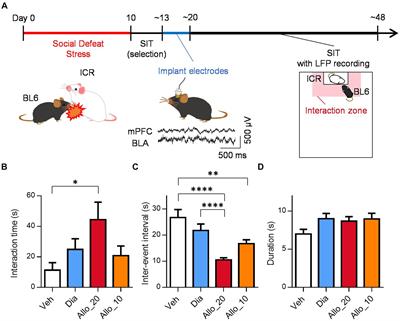 Differential effects of allopregnanolone and diazepam on social behavior through modulation of neural oscillation dynamics in basolateral amygdala and medial prefrontal cortex